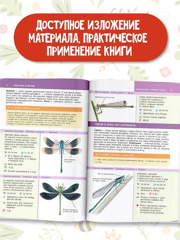 Книга Насекомые России (Владимир Полевод, Илья Гомыранов) — 6