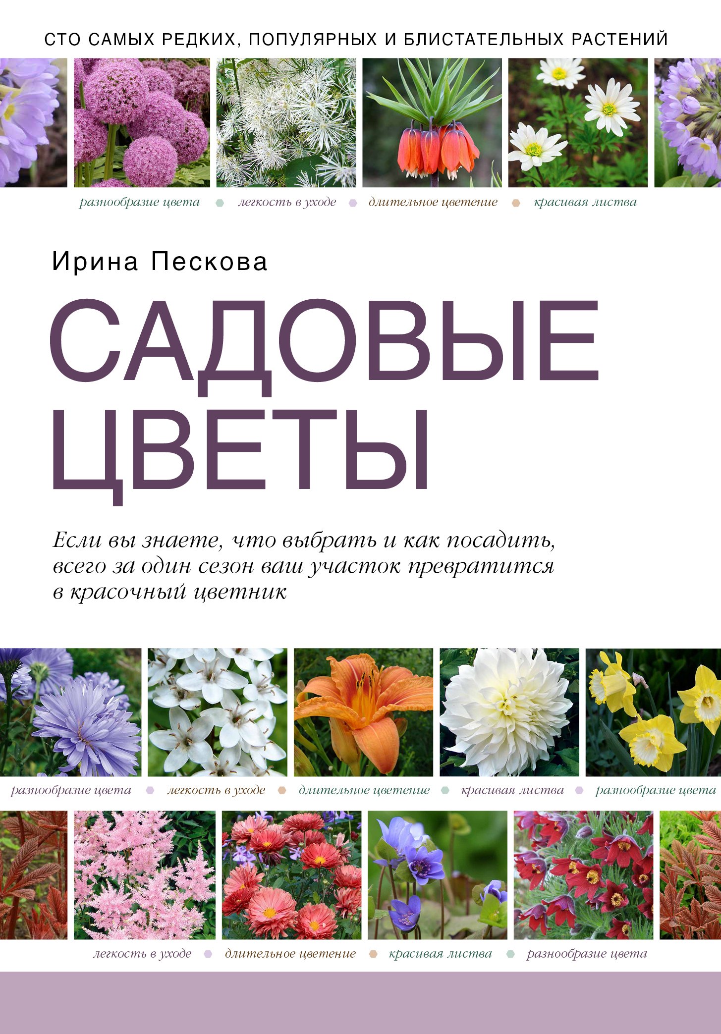 

Садовые цветы