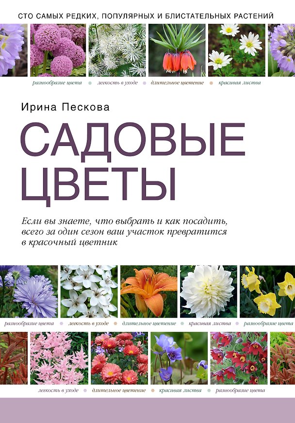 Книга Садовые цветы (Ирина Пескова) — 1