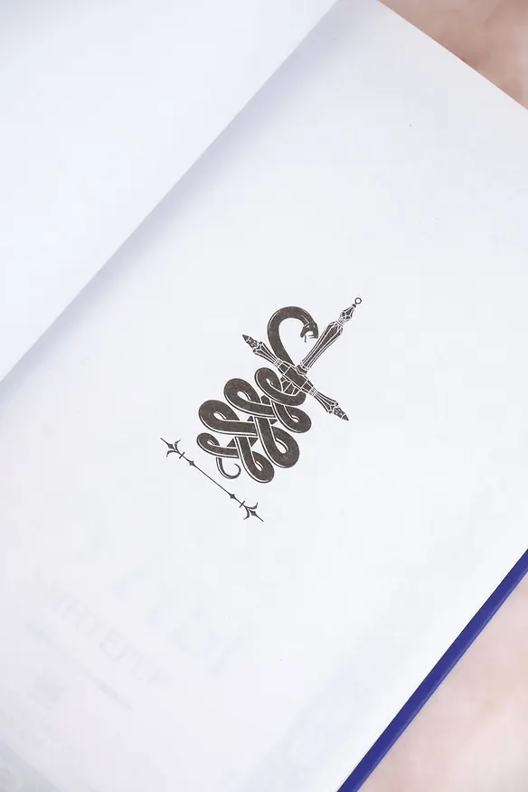 Книга Дети Руны. Уинтерер. Зимний меч. Книга 1 (Чон Минхи) — 12