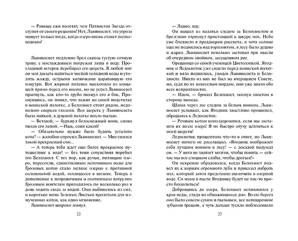 Книга Четвертый оруженосец (Эрин Хантер) — 11