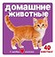 От мышонка до улитки (В траве) — 2938315 — 1