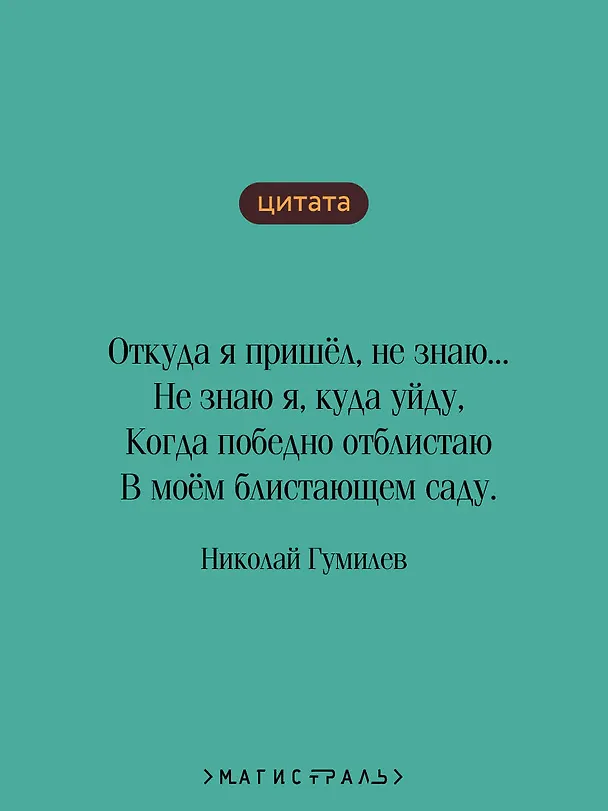 Книга Путь конквистадоров (Николай Гумилев) — 7