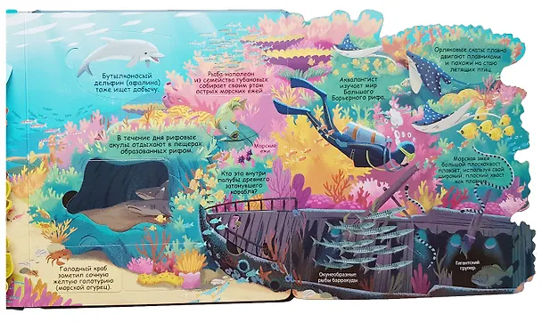 Книга Секреты морей и океанов (Меган Каллис) — 3