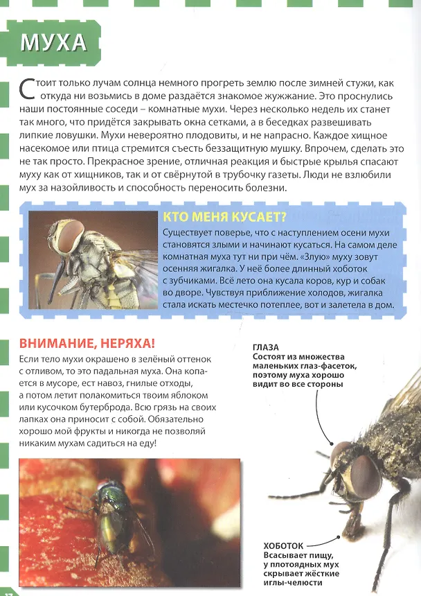 Книга Насекомые () — 4