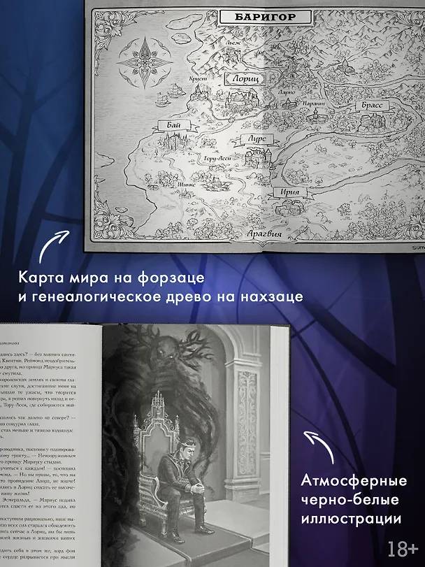Книга Сумерки Баригора (Софья Соломонова) — 6