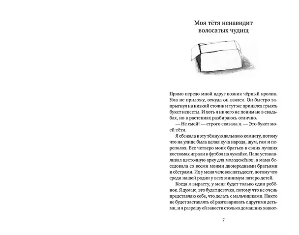 Книга Эви, Ник и я (Анна Вольтц) — 2