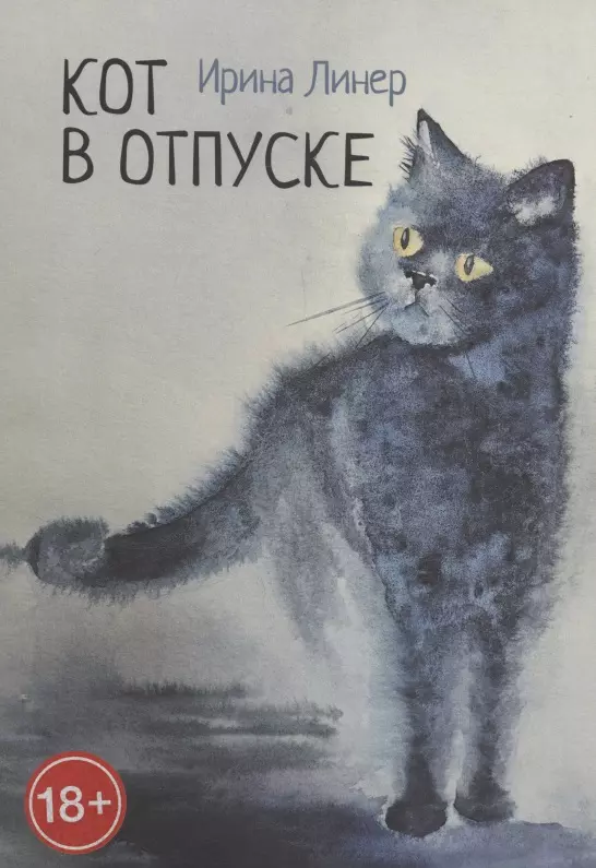 Кот в отпуске