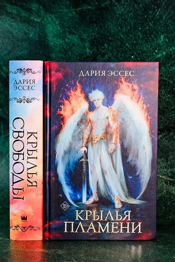 Книга Крылья пламени (Дария Эссес) — 13