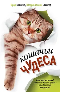 Кошачьи чудеса