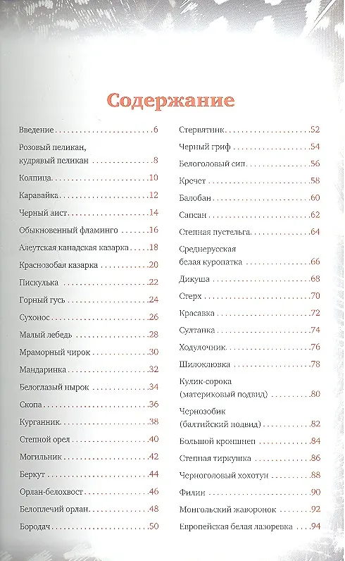 Книга Редкие птицы России. По страницам Красной книги (Владимир Бабенко) — 2