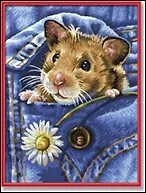 Набор для раскрашивания Хомяк (609240436) (24х30см) (коробка) 2261682