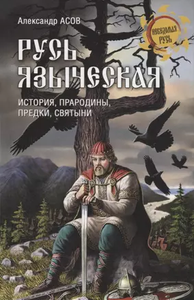 Русь языческая. История, прародины, предки, святыни — 2665103 — 1