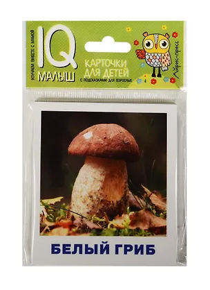 Книга Умный малыш. Грибное лукошко. Набор карточек для детей. (Татьяна Тимофеева)