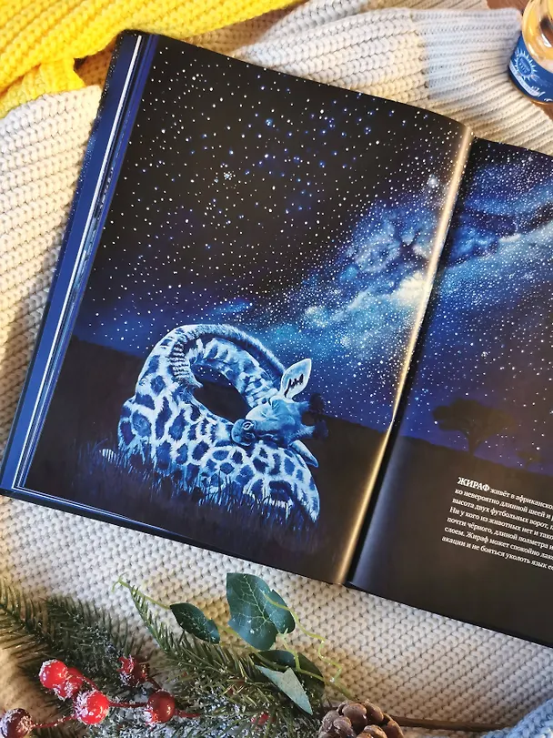 Книга Все ли спят ночью? Завораживающие иллюстрации и удивительные факты ночного мира живой природы (Беатрикс Маннель) — 13