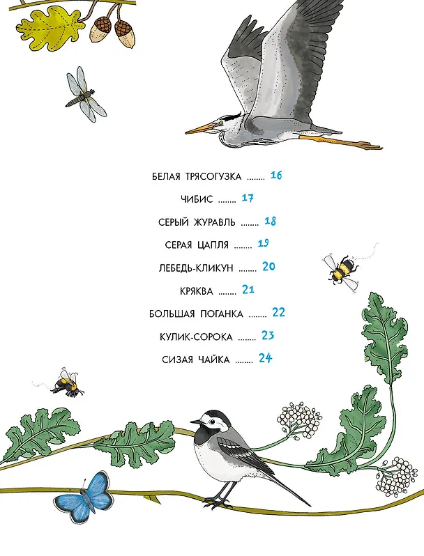 Книга Птицы (Эмма Янссон) — 10