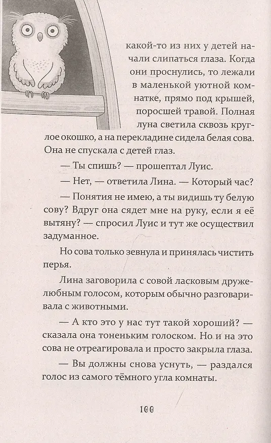 Книга Петронелла и ледяная магия (Сабина Штэдинг) — 9
