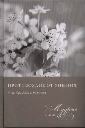 Противоядие от уныния. Из собрания священника Николая Лызлова — 2388160 — 1