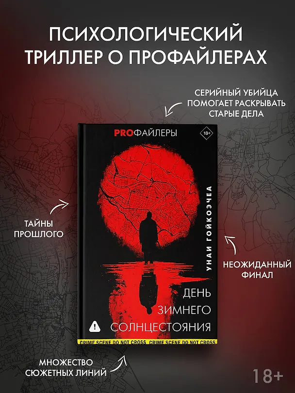 Книга День зимнего солнцестояния (Унаи Гойкоэчеа) — 6