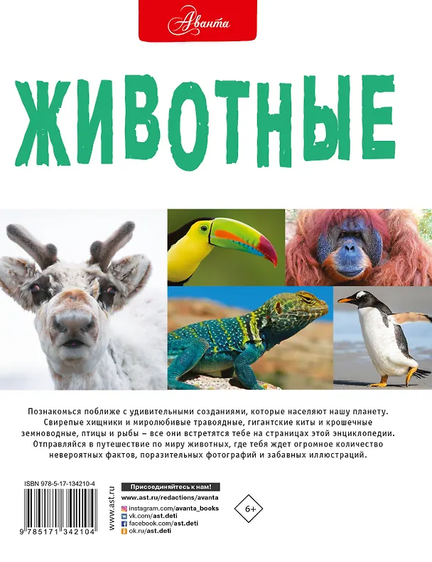 Книга Животные (Дэйзи Джонсон) — 2
