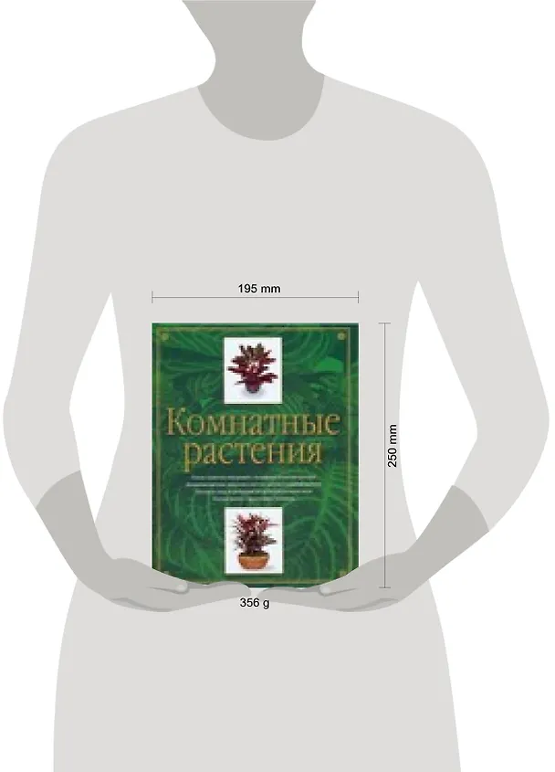 Книга Комнатные растения (Лиа Леендертц) — 2