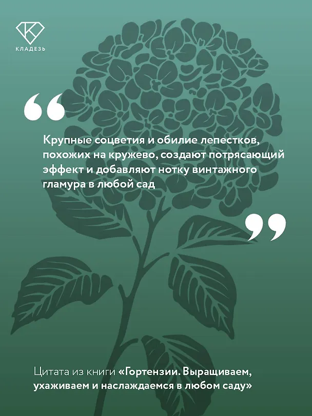 Книга Гортензии. Выращиваем, ухаживаем и наслаждаемся в любом саду (Лариса Кочелаева) — 8