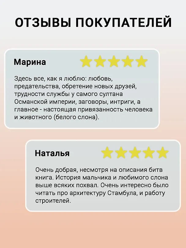 Книга Ученик архитектора (Элиф Шафак) — 4