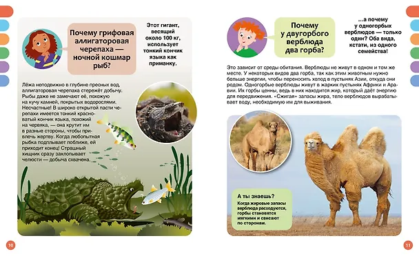 Книга Почему? Вопросы и ответы обо всём на свете (Кэти Франко) — 13
