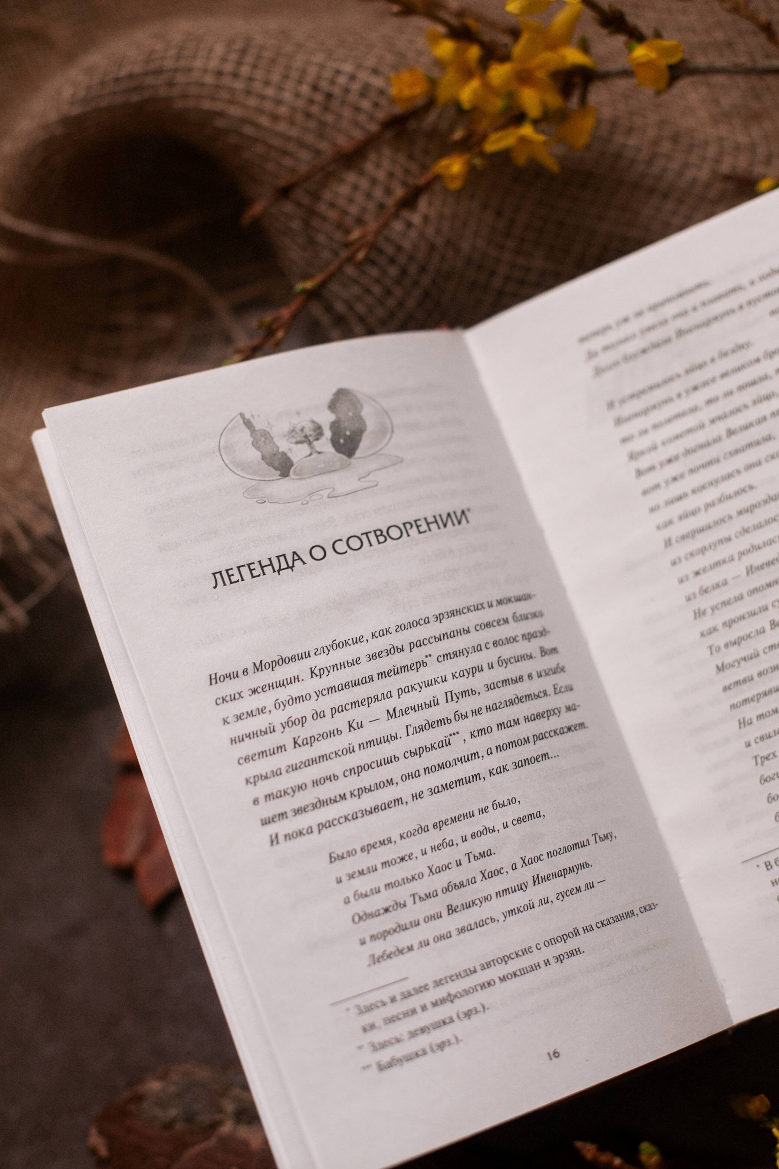 Изображение бумажной книги