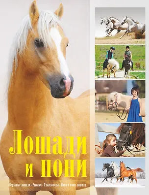 Книга Лошади и пони (Владимир Жабцев)