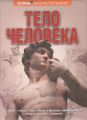 Тело человека. Энциклопедия ОЛМА — 2404715 — 1