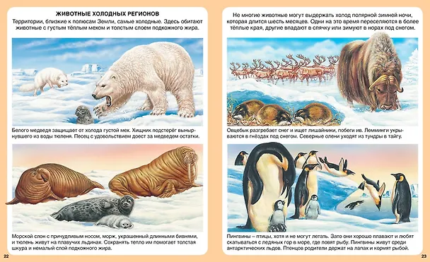 Книга Загадки природы (Эмили Бомон, Мари-Рене Гийоре) — 5