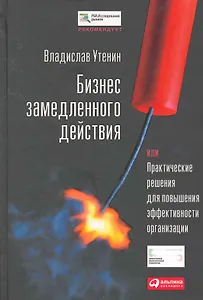Бизнес замедленного действия, или Практические решения для повышения эффективности организации