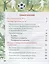 Физическая культура. Футбол для всех 1-4 класс. Учебное пособие — 2746066 — 2