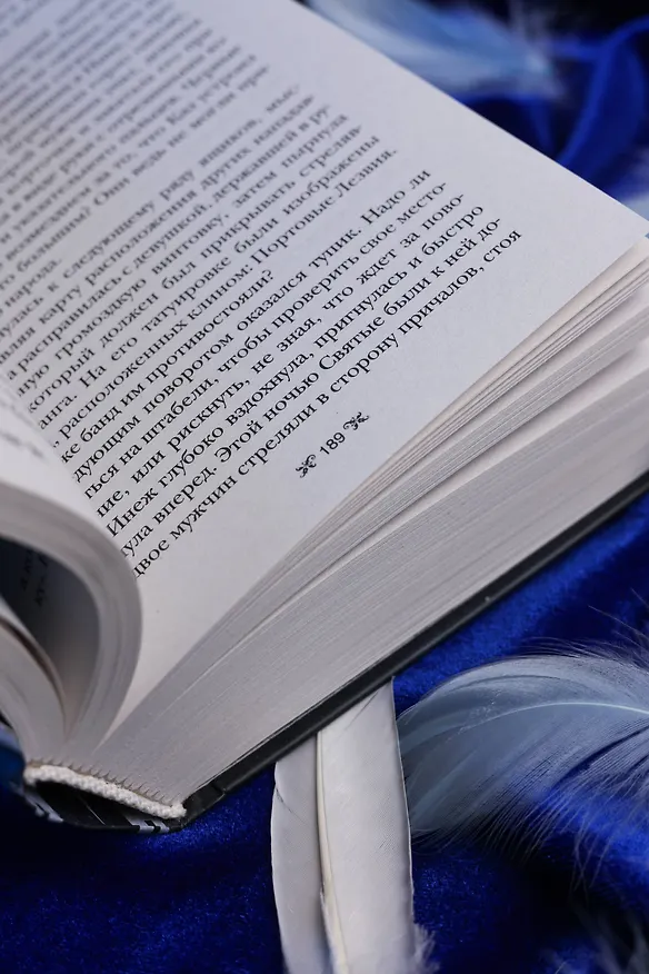 Книга Шестерка воронов. В переводе Н. Осояну (Ли Бардуго) — 14