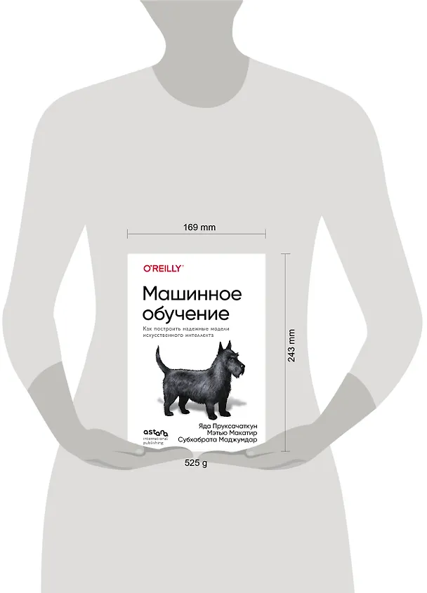 Книга Машинное обучение. Как построить надежные модели искусственного интеллекта (Яда Пруксачаткун, Мэтью Макатир, Субхабрата Маджумдар) — 8