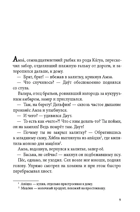 Книга Брат мой Бзоу (Евгений Рудашевский) — 7