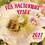 Год настоящих чудес. Календарь настенный на 2027 год (300х300) — 3177520 — 1