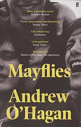 Mayflies — 2890240 — 1