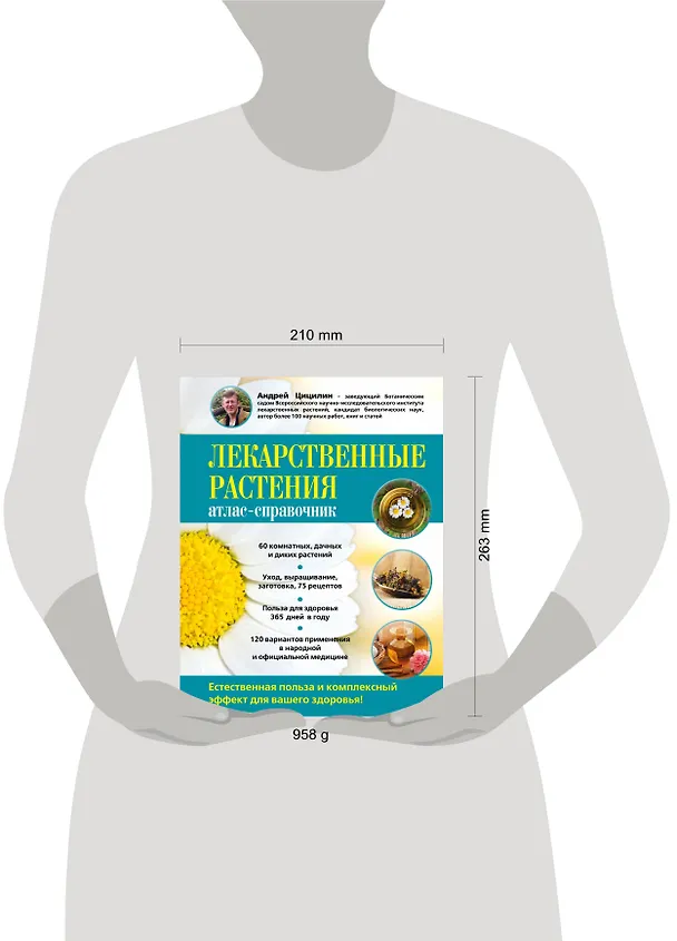Книга Лекарственные растения: атлас-справочник (Андрей Цицилин) — 5