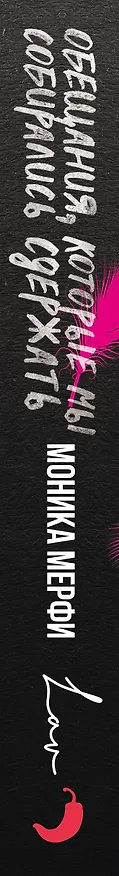 Книга Обещания, которые мы собирались сдержать (Моника Мерфи) — 4