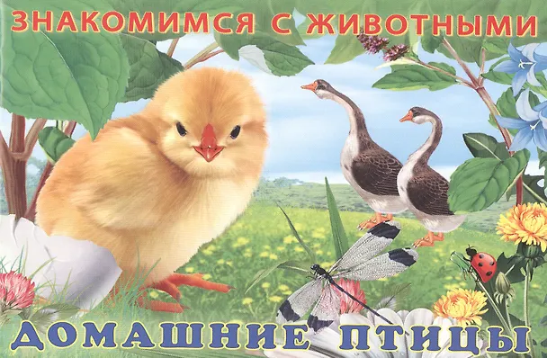 Книга Домашние птицы () — 1