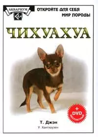 Чихуахуа (+DVD) (ОДСМП) — 2133087 — 1