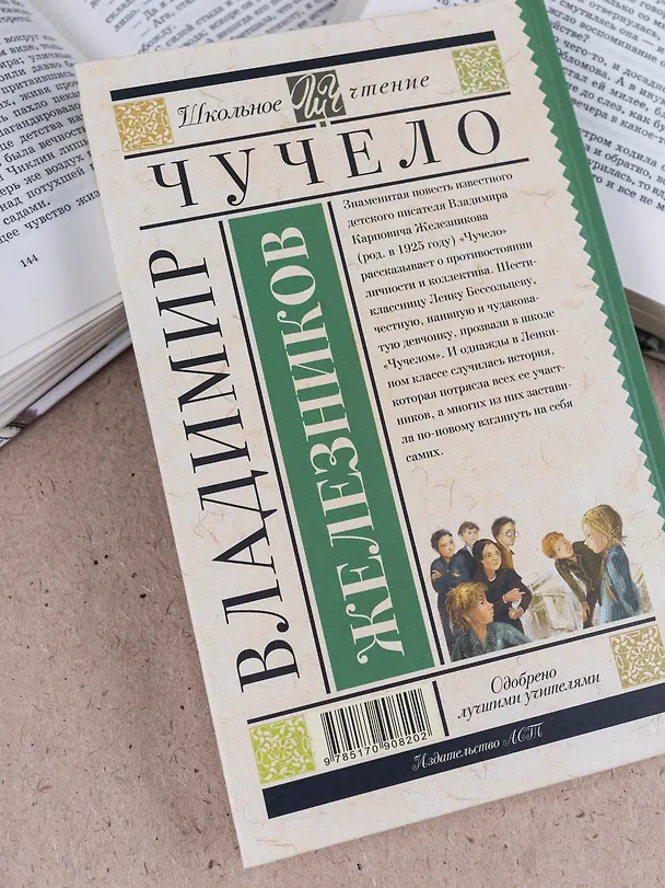 Книга Чучело (Владимир Железников) — 13