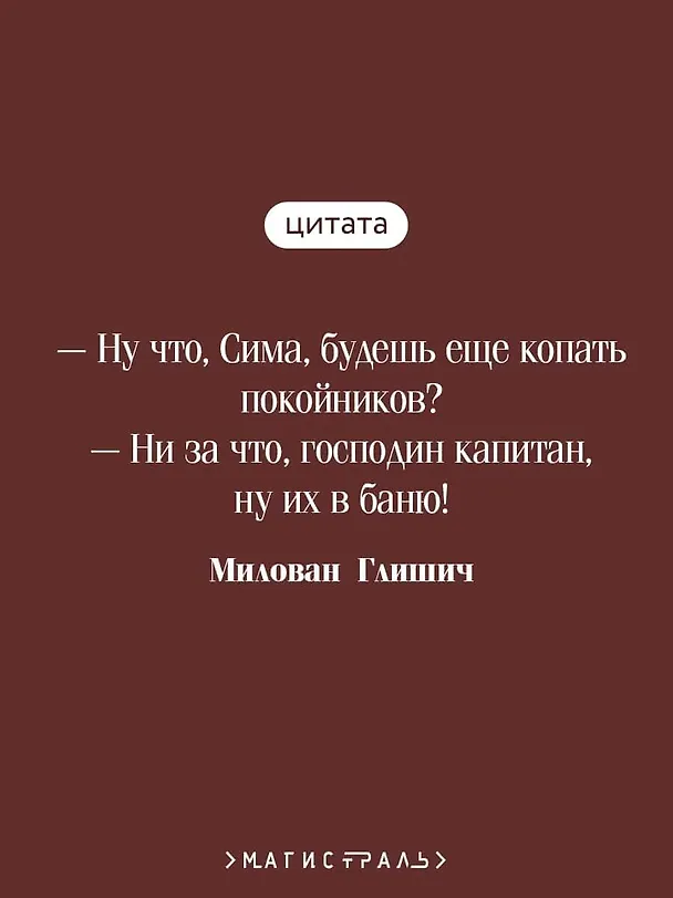 Книга Спустя девяносто лет (Милован Глишич) — 8