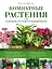 Комнатные растения: календарь по уходу на каждый месяц — 2461558 — 1