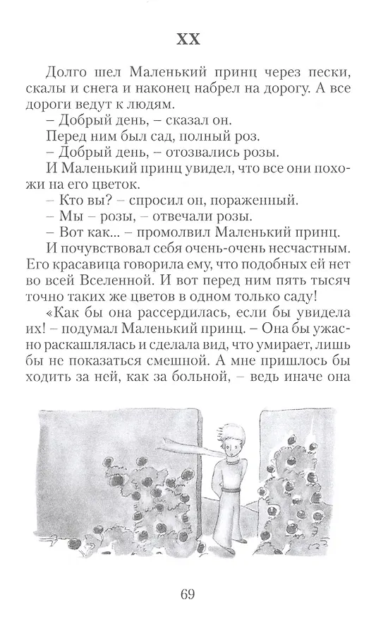 Книга Маленький принц (Антуан де Сент-Экзюпери) — 7