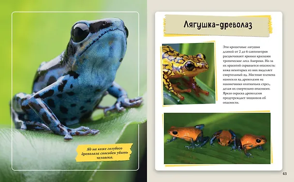 Книга Удивительные животные нашей планеты () — 6