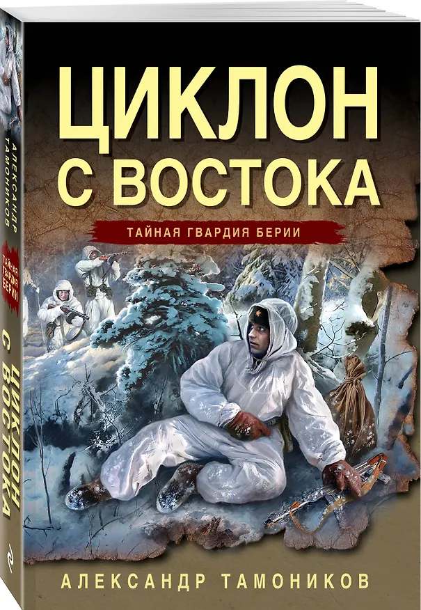 Книга Циклон с востока (Александр Тамоников) — 6