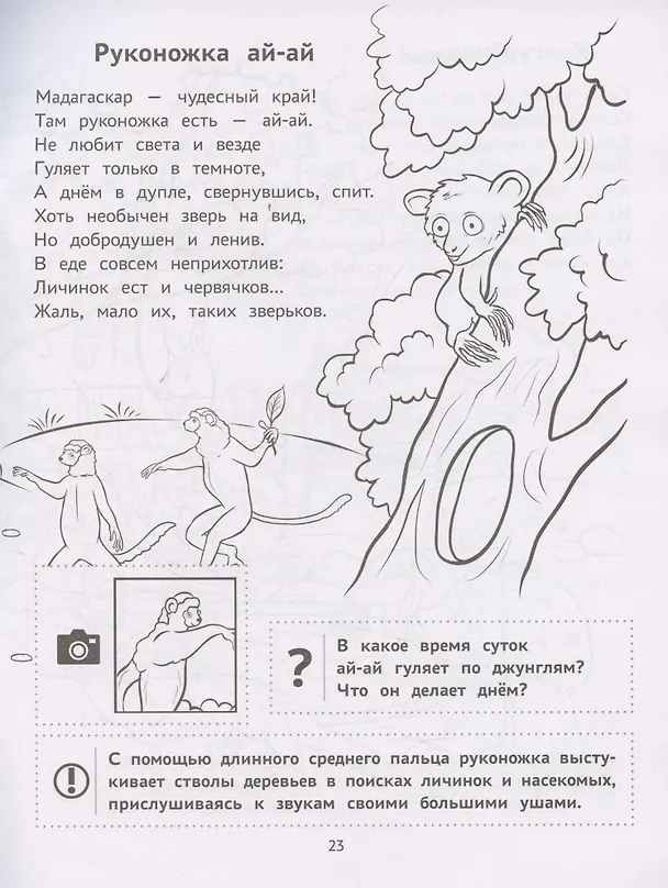 Книга Пойдем в зоопарк: виммельбух-прогулка с мышонком Ерошкой (Нина Агошкова) — 6